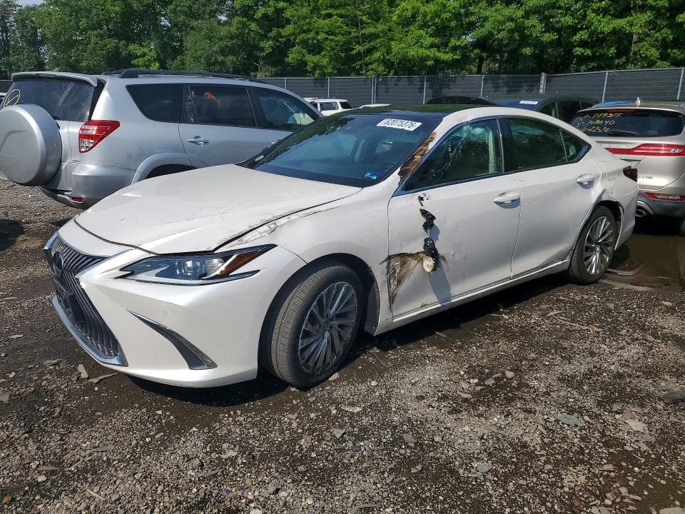2019 LEXUS ES 350 - 1