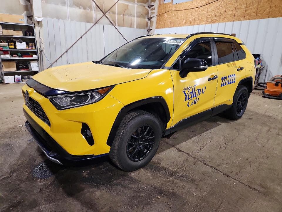 2019 TOYOTA RAV4 XSE - 1