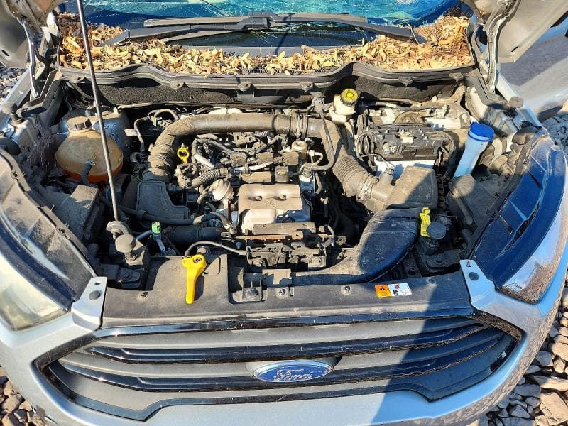 2019 FORD ECOSPORT S 12