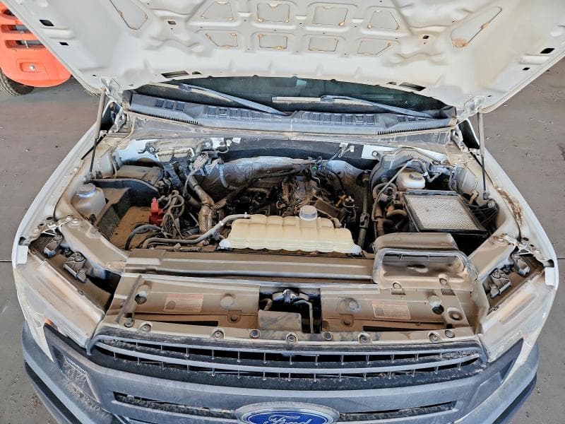 2019 FORD F150 XL 11