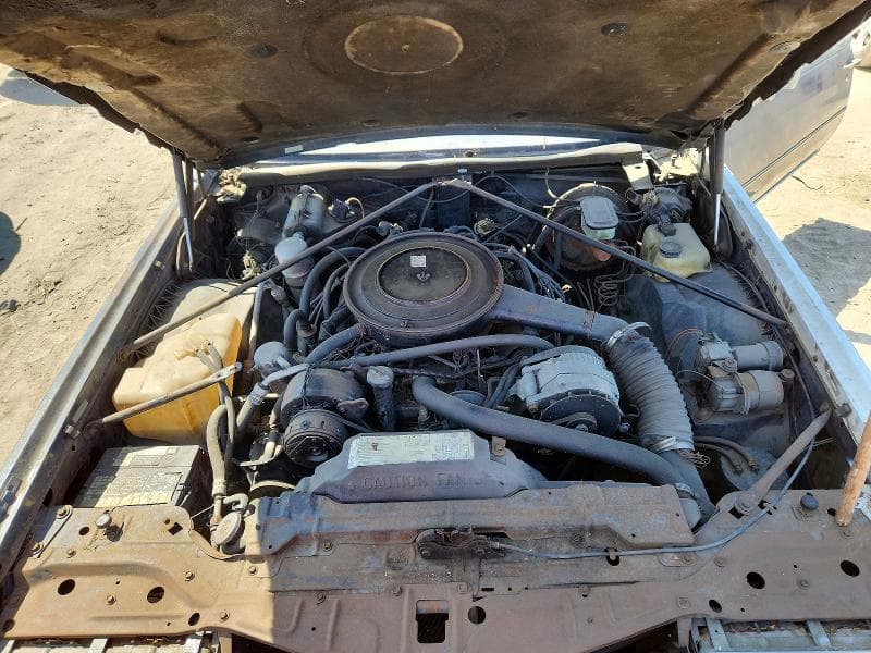 1980 CADILLAC ELDORADO 11