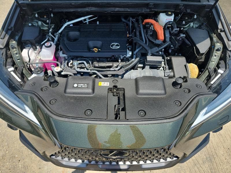 2026 LEXUS NX 350H LUXURY 12