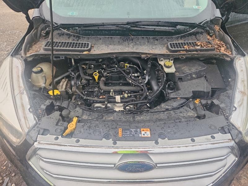 2017 FORD ESCAPE SE SE 12