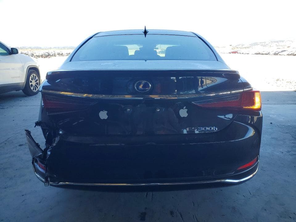 2019 LEXUS ES 300H 6