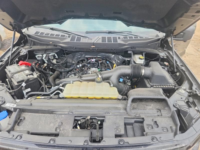 2025 FORD F150 XLT 11