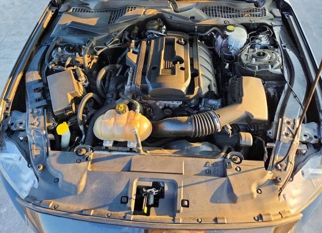 2019 FORD MUSTANG 11