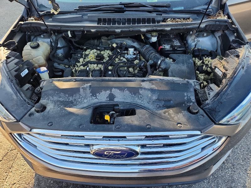 2019 FORD EDGE SEL 12