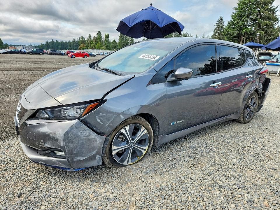 2019 NISSAN LEAF SL PLUS - 1
