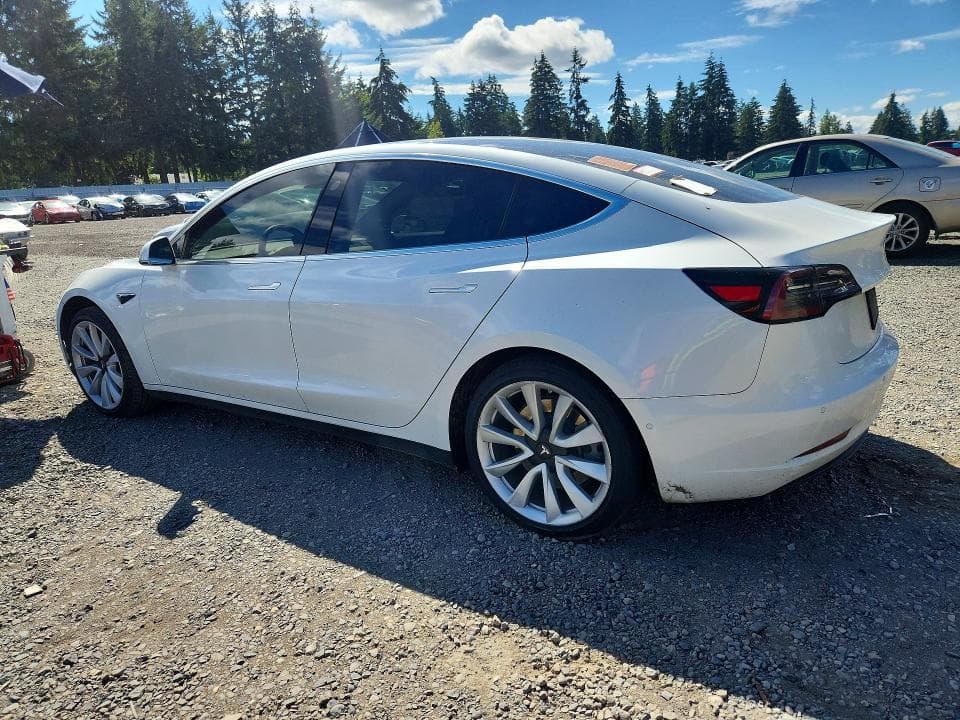 2019 TESLA MODEL 3 2