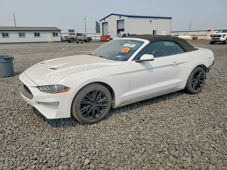 2019 FORD MUSTANG