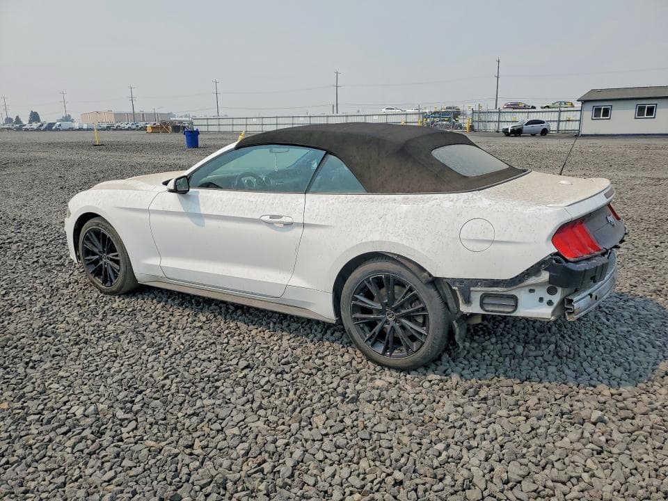 2019 FORD MUSTANG 2