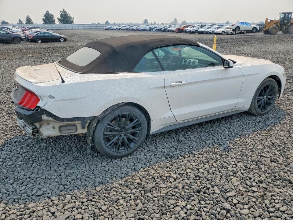 2019 FORD MUSTANG 3