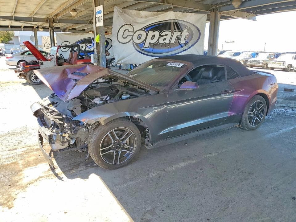 2019 FORD MUSTANG - 1