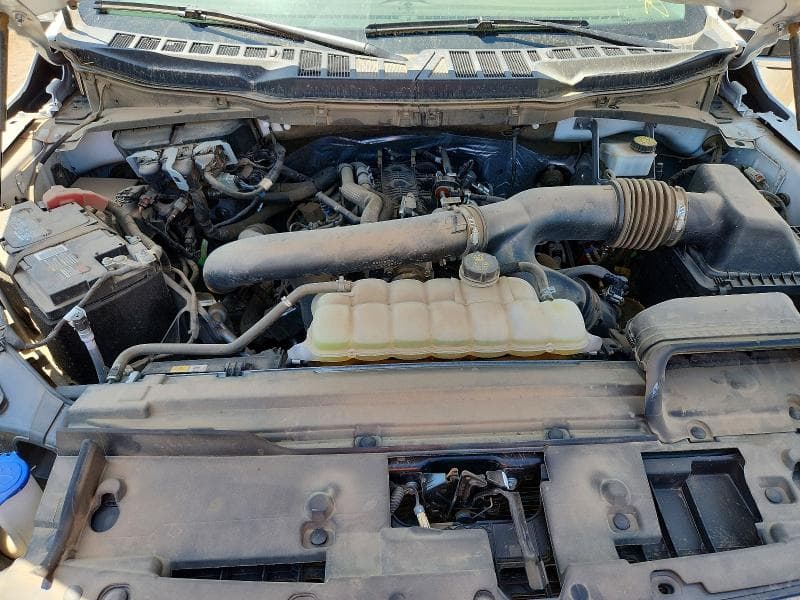2024 FORD F150 XLT 11