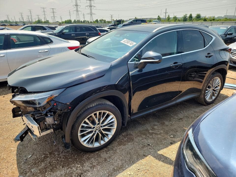 2025 LEXUS NX 350H LUXURY - 1