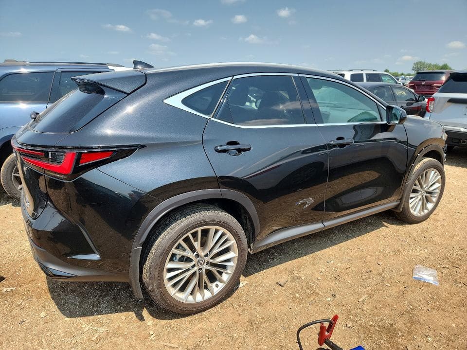 2025 LEXUS NX 350H LUXURY 3
