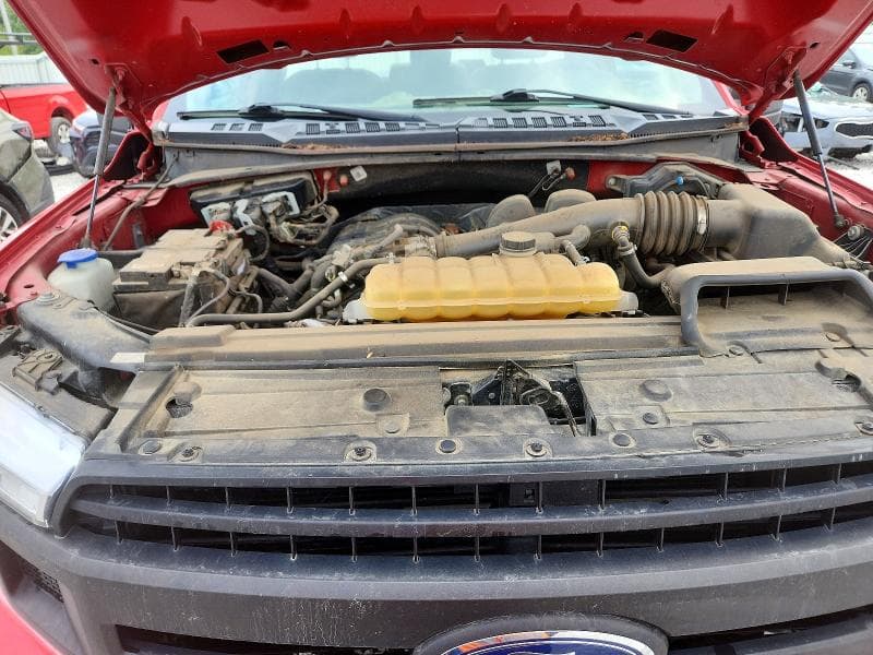 2019 FORD F150 11