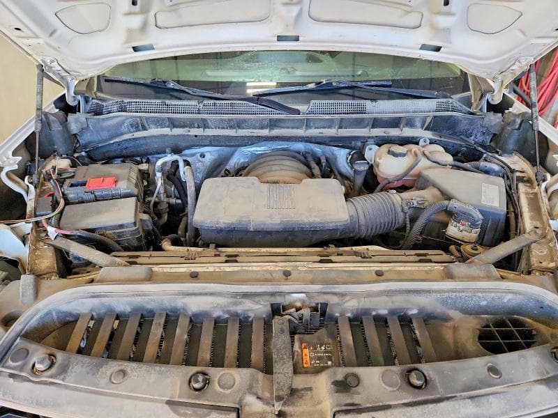 2019 CHEVROLET SILVERADO K1500 11