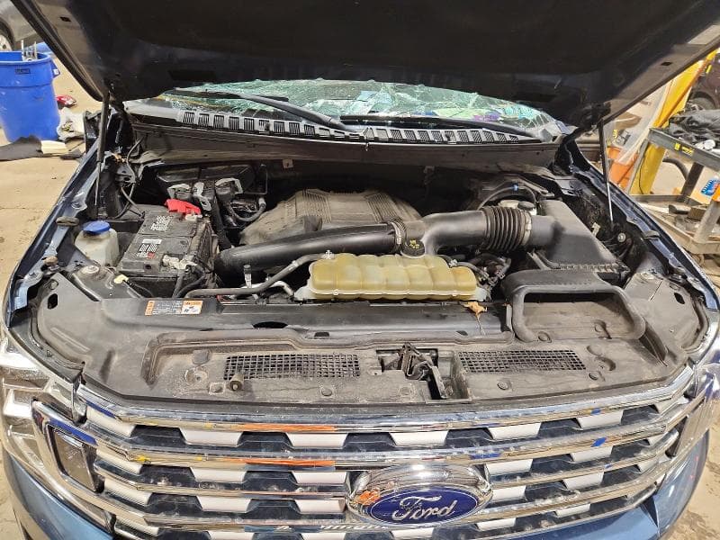 2020 FORD EXPEDITION LIMITED 12