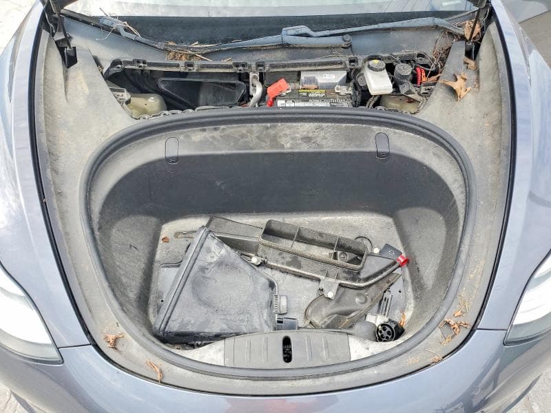 2019 TESLA MODEL 3 11