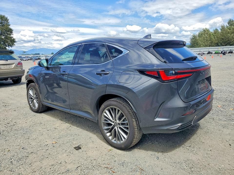 2024 LEXUS NX 350H LUXURY 2