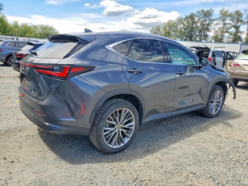 2024 LEXUS NX 350H LUXURY 3
