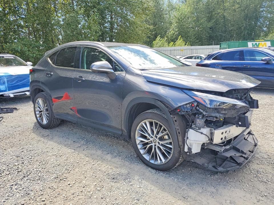 2024 LEXUS NX 350H LUXURY 4