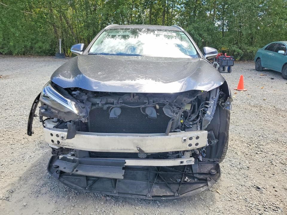 2024 LEXUS NX 350H LUXURY 5