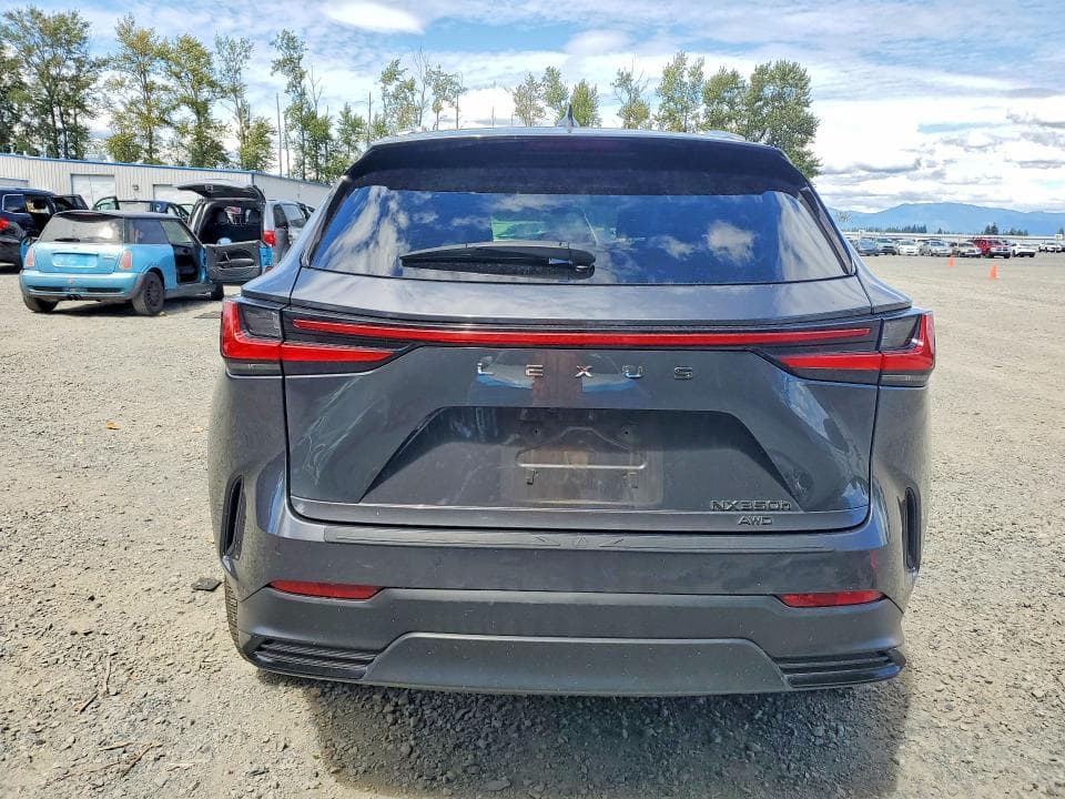 2024 LEXUS NX 350H LUXURY 6