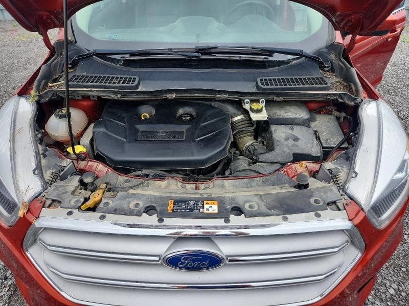 2019 FORD ESCAPE SEL 12