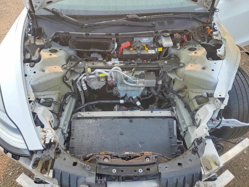 2019 TESLA MODEL 3 11