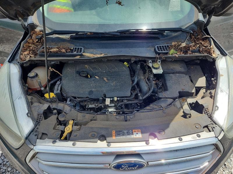 2017 FORD ESCAPE SE 11