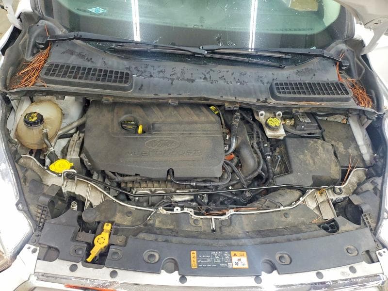 2018 FORD ESCAPE SE SE 12