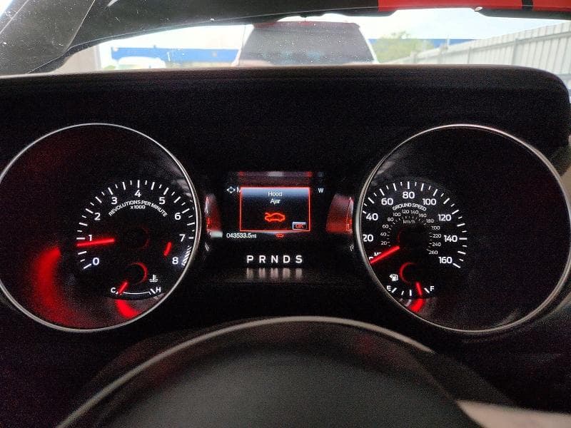 2019 FORD MUSTANG GT 9