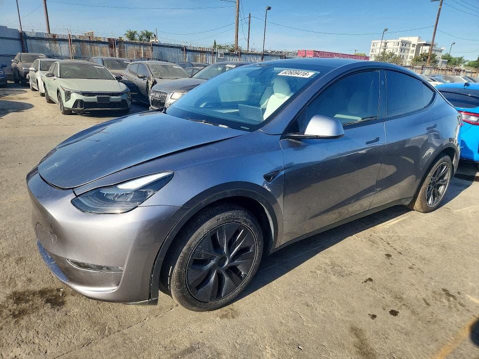 2025 TESLA MODEL Y - 1