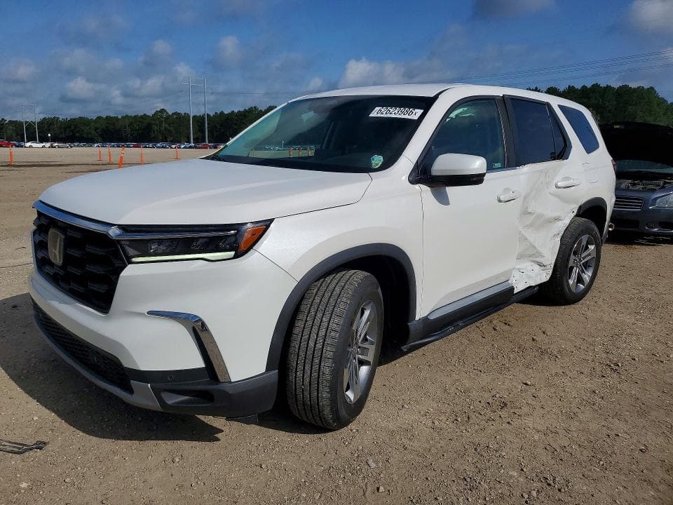 2024 HONDA PILOT EXL - 1