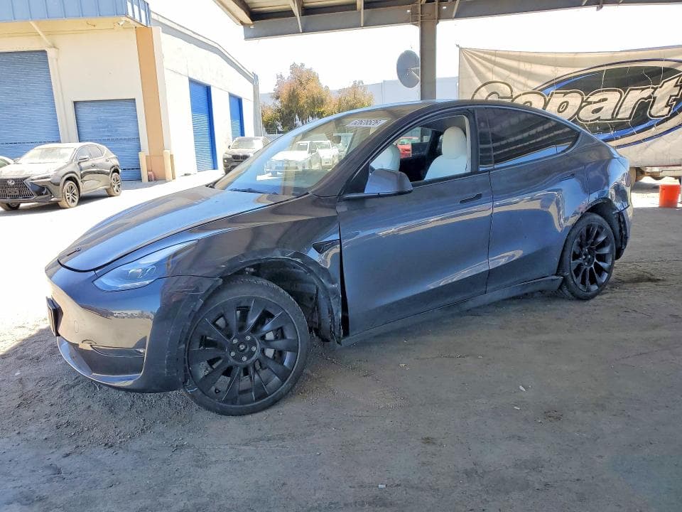 2023 TESLA MODEL Y - 1