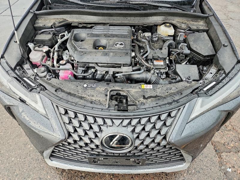 2025 LEXUS UX 300H PREMIUM 12