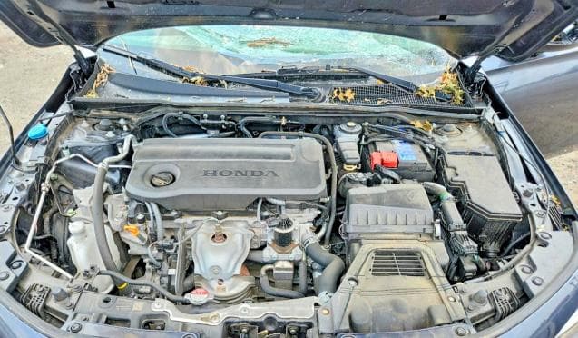 2025 HONDA CIVIC SPORT 11