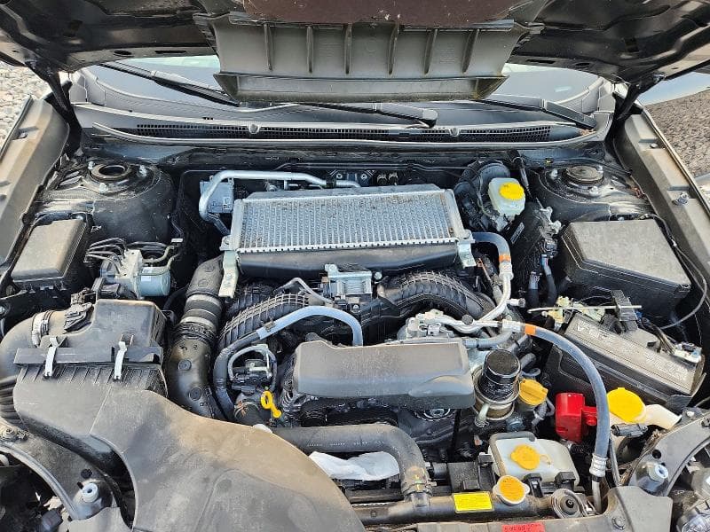 2025 SUBARU OUTBACK WILDERNESS 12
