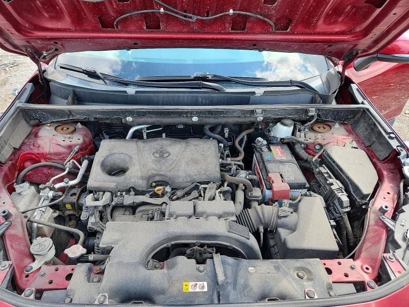 2019 TOYOTA RAV4 LE 12