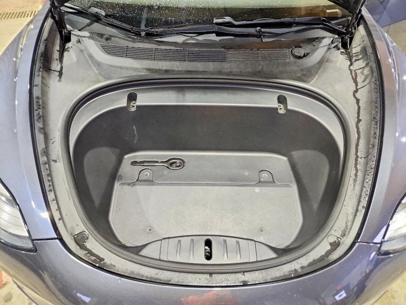 2020 TESLA MODEL 3 11
