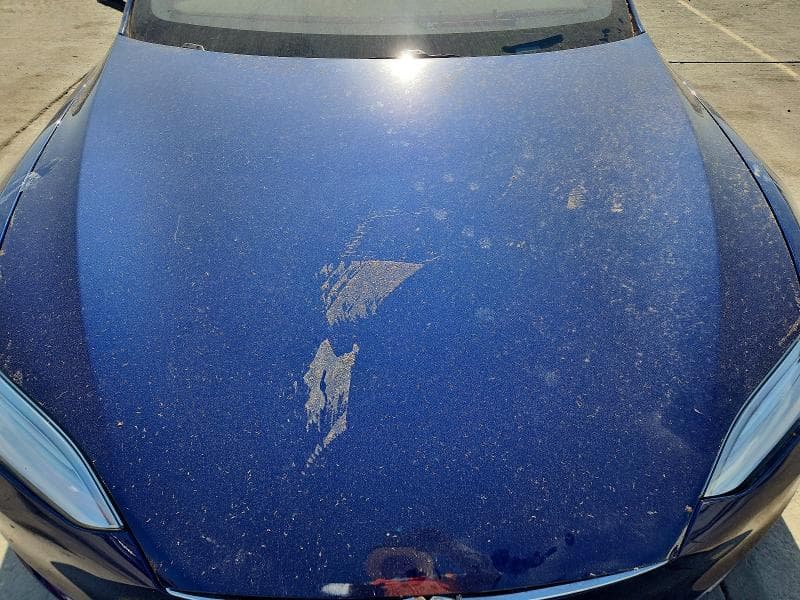2020 TESLA MODEL S 12