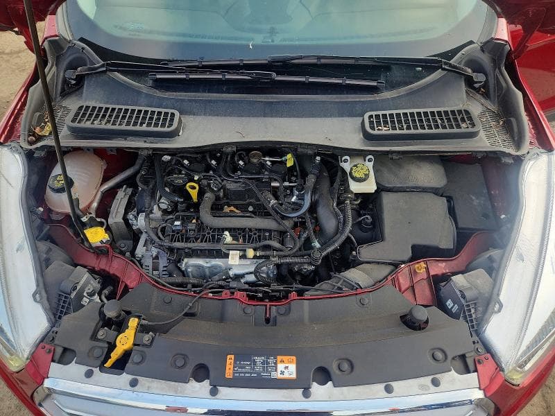 2019 FORD ESCAPE SEL 12