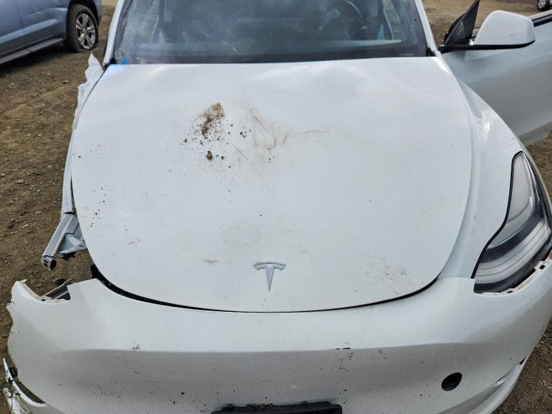 2022 TESLA MODEL Y 11