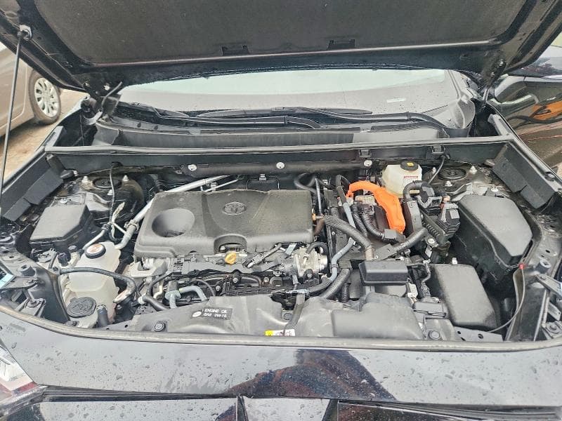 2024 TOYOTA RAV4 XLE PREMIUM 12