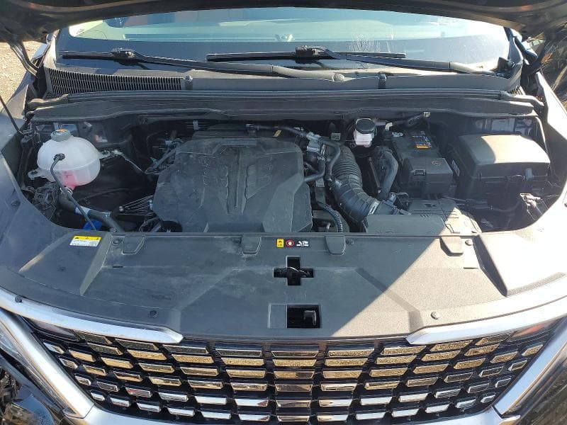 2024 KIA CARNIVAL SX 12