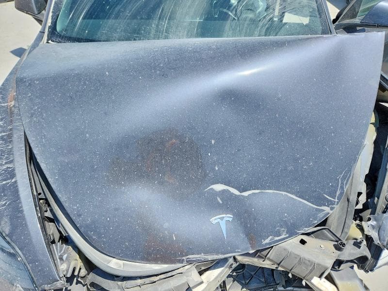2021 TESLA MODEL 3 11