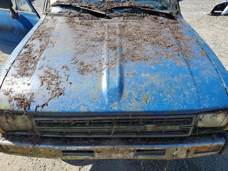 1982 TOYOTA PICKUP / CAB CHASSIS 1/2 TON DLX 11