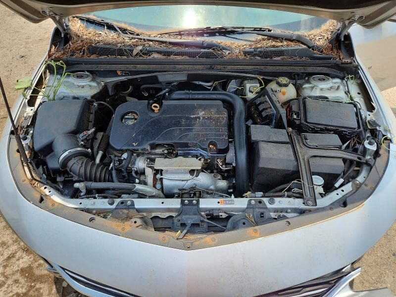 2017 CHEVROLET MALIBU LS 11